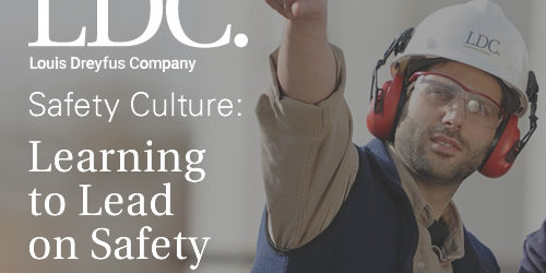 destacada_ldcSuisse2