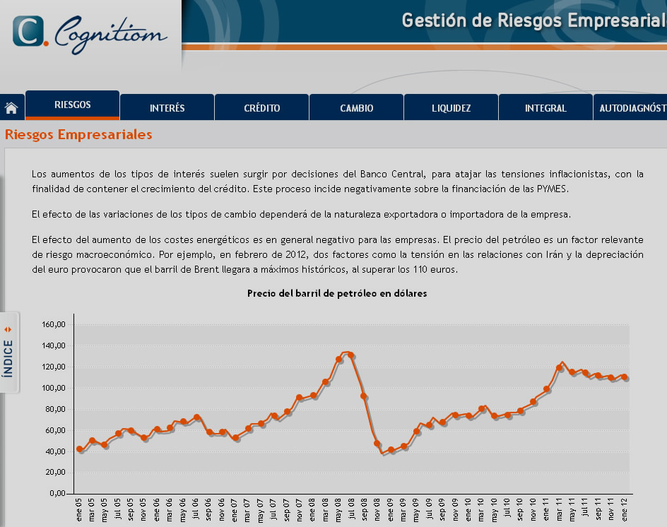 Cognitiom - Business Risk Management