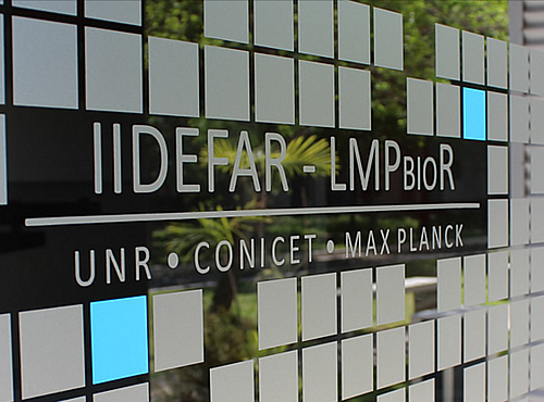 IIDEFAR - Max Planck